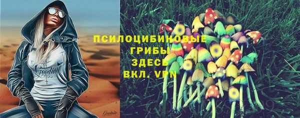 СК Алагир