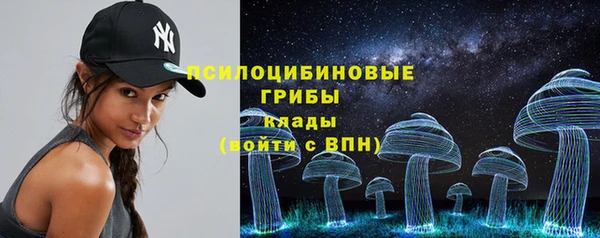 прущая мука Новодвинск