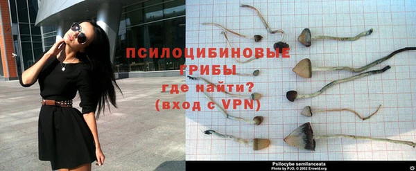 a pvp Кукмор
