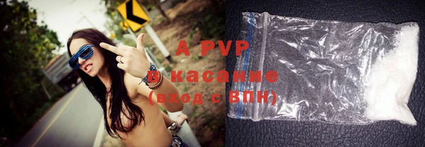 дживик Новозыбков