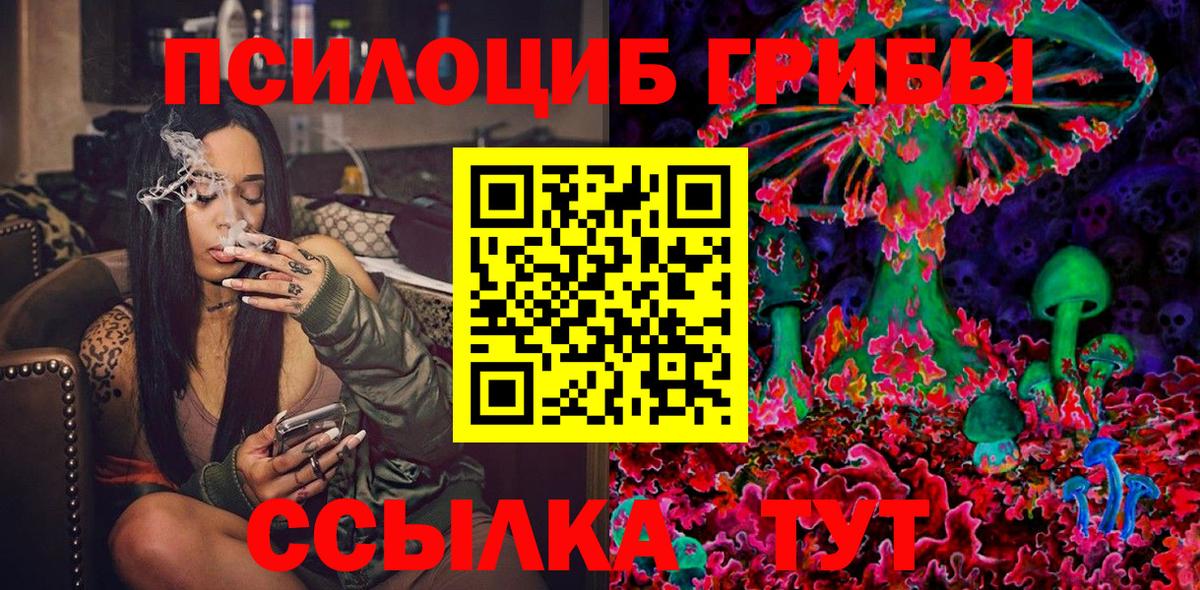 Галлюциногенные грибы Cubensis Лобня